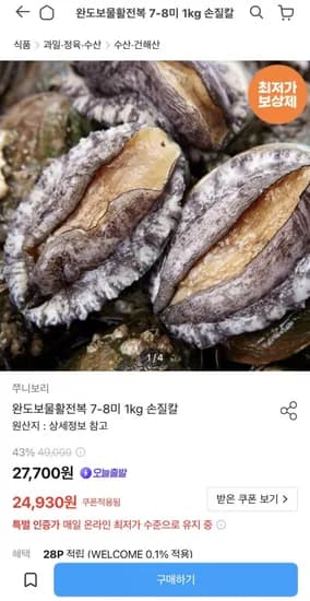 완도보물활전복 7-8미 kg (24,930원/무료)1