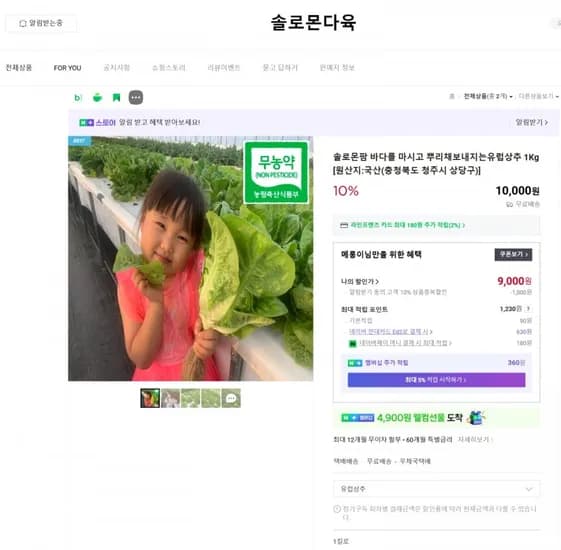 유럽상추 1kg (10,000원 / 무료)