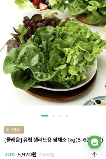 유럽 샐러드용 쌈채소1kg (4,900원/무료)