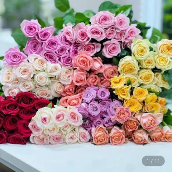 장미 0송이 생화 (7,740원/무료)1