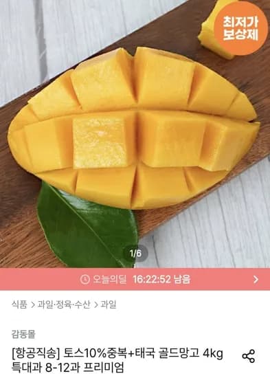 태국 골드망고 4kg 특대과 -12과 프리미엄 (25,445원/무료)8