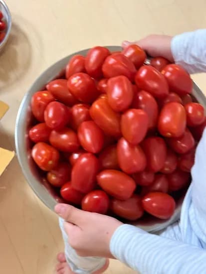 대추방울토마토 2kg 1-호 (9,650원/무료)3