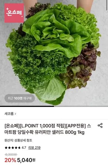 유러피안 샐러드 1kg,대추방울토마토 2kg, 펩시제로 (다양/무료)