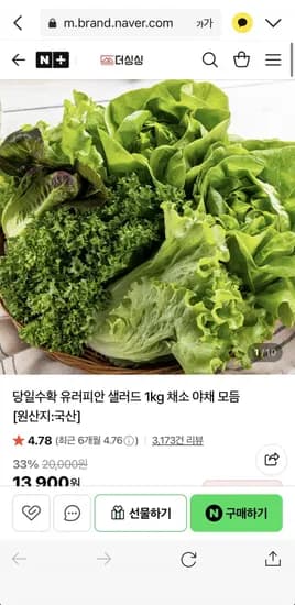 당일수확 유러피안 샐러드 1kg 채소 야채 모듬 13,900원 무배