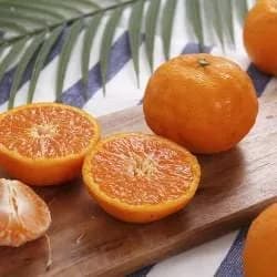 쓱7클럽]제주 카라향 3kg 15-20과 소과 (16800원/무배)