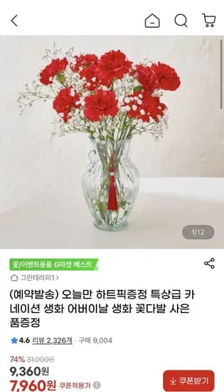 특상급 카네이션 생화 5송이 (7,960원/무료)