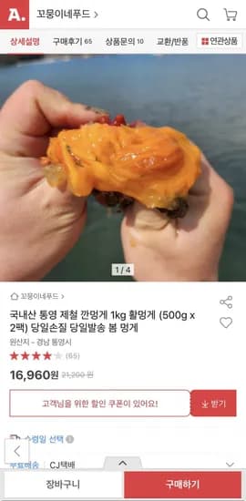 국내산 통영 제철 깐멍게 1kg (16,960원/무료)