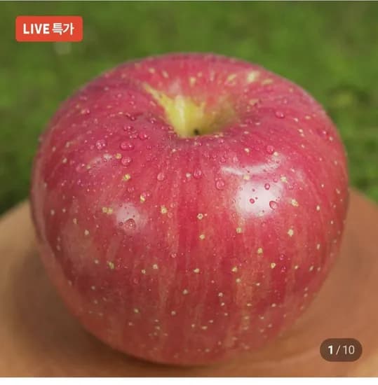 부사 사과 3kg 가정용 (19,900원/무료)