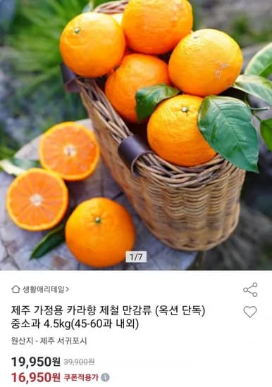 제주 카라향 4.5kg 중소과 (16,950원/무료)
