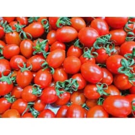 산지직송 대추방울토마토 2kg (9,270원/무료)