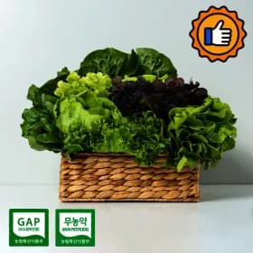 샐러드 채소 상추 쌈채소 1kg(랜덤)무농약 GAP (6,720원/무료)