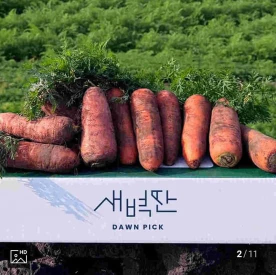 흙당근 3kg 왕 (2,900원/네멤무배)