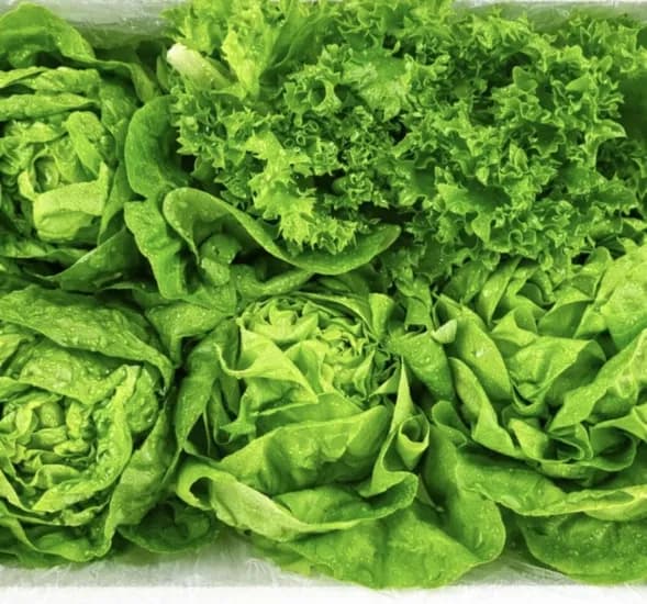 유러피안 샐러드 채소1kg (6,000원/무배)