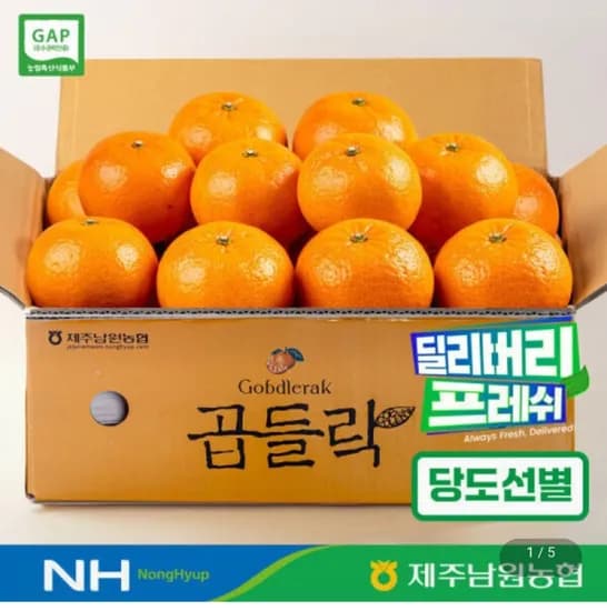 제주 남원농협 곱들락 카라향 로얄과(중과) 2kg (4,900원/무료)1