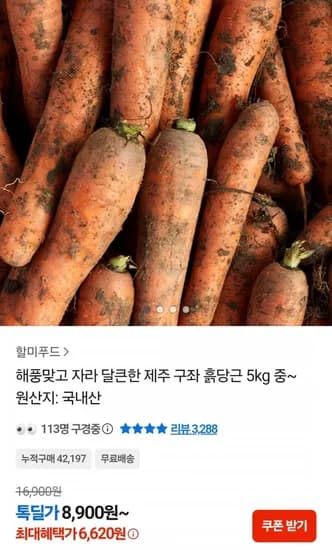 제주 구좌 흙당근 5kg