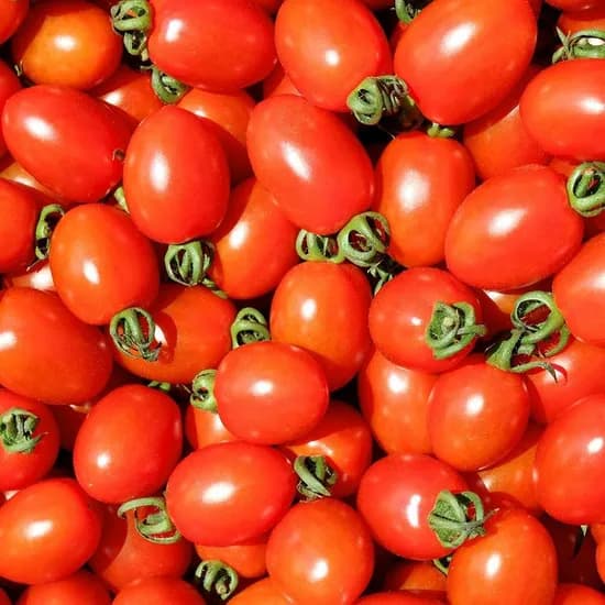 대추방울토마토 2kg 로얄과 (9,626원/무배)