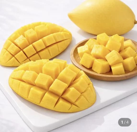 무지개망고 2.5kg 6~7과 (17,900원/무료)