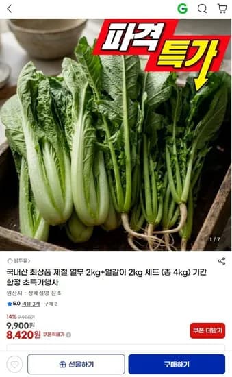 국내산 제철 열무 2kg 얼갈이 2kg 세트