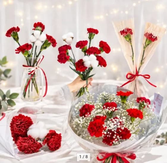 생화 카네이션 4송이+목화송이 (7,990원/무료)1