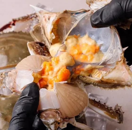 서해 활 알배기 암꽃게 1kg(4-6미 내외) (19,900원 / 무배)