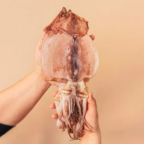 피데기 반건조 오징어 5미 650g 내외 외 다양 (15,450원/무료)