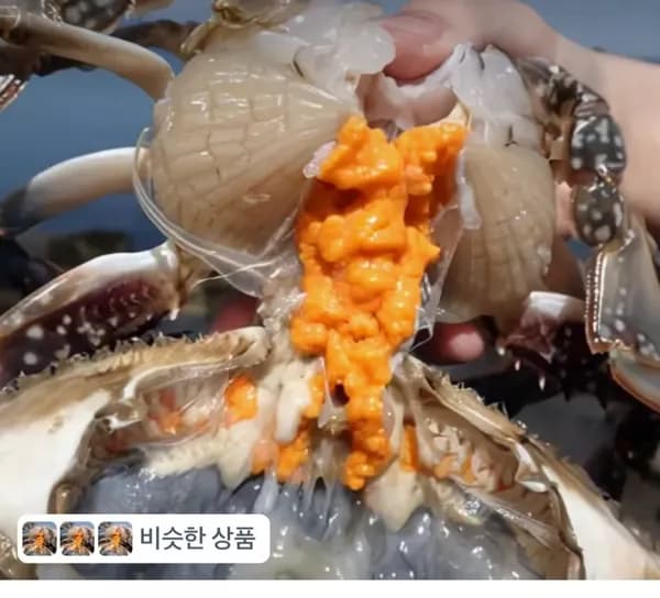 국내산 생물 알배기 암꽃게 1kg (17,900원/무료)