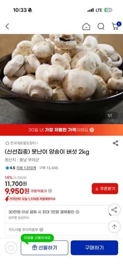 못난이양송이2kg(9950원/무료배송)