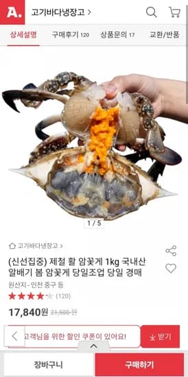 국내산 활 암꽃게 1kg