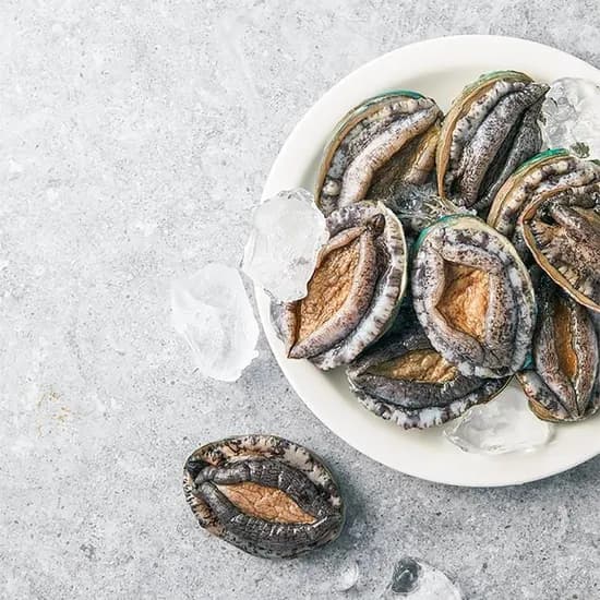 전복 4-6미 외 다양 (19,560원/ 무료)