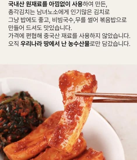 미담채 국내산 총각김치 2kg (9600원/무배)