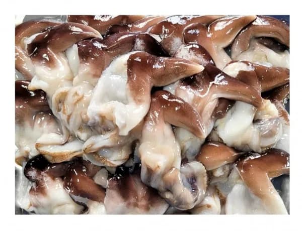 여수 손질 초코새조개 1kg 손질후 200g (15,500원/무료)