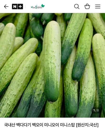 국내산 백다다기 백오이 2kg (7,900원/무료)