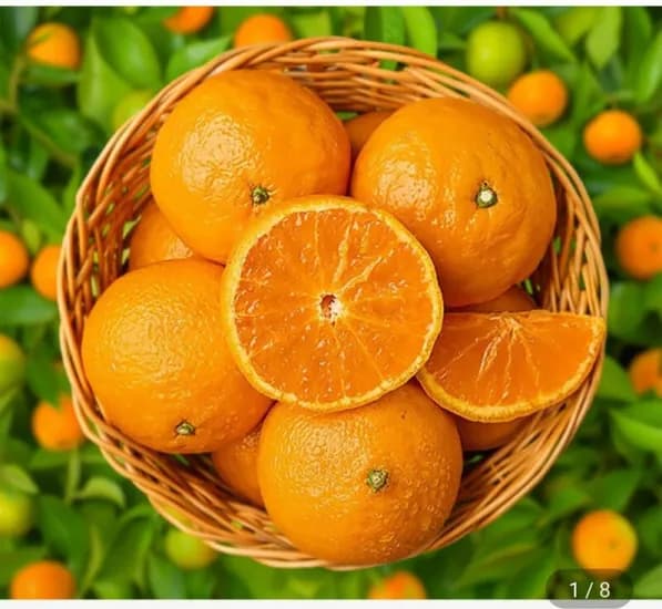 카라향 5kg 혼합