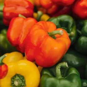 국내산 가정용 파프리카 1kg (7,780원/무료)