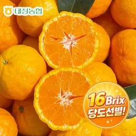 제주대정농협 카라향 3kg + 500g 증정 (15,960원/무배)