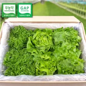 gap인증 유러피안 샐러드 800g (유클가 5,940원/무배)