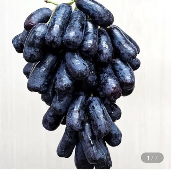 블랙 사파이어 포도 2kg (15,990원/무료)