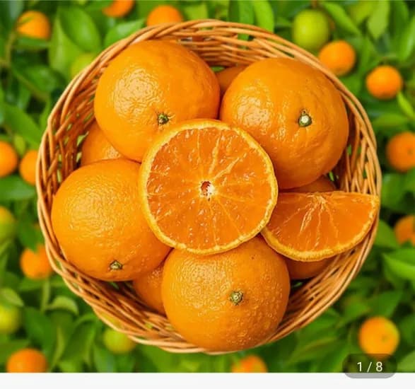 카라향 5kg 혼합 (15,900원/무료)