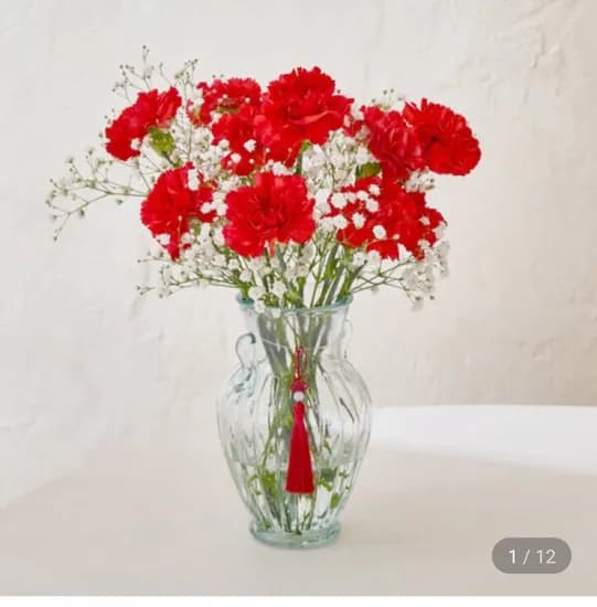특상급 카네이션 생화 5송이 (7,960원/무료)