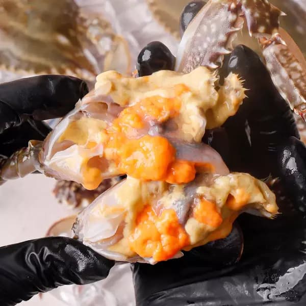 알배기 활 암꽃게 키로 (36,900원 / 무배)2