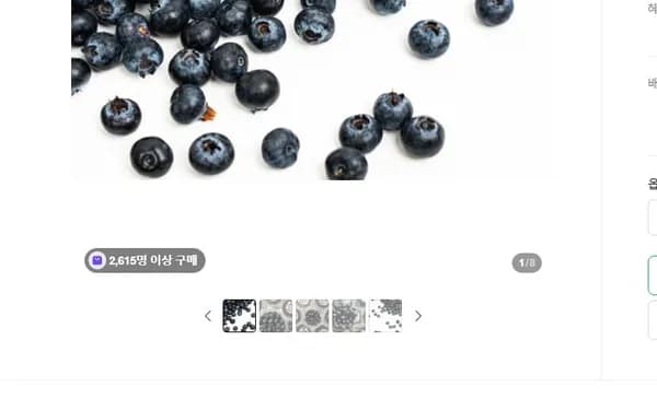 생블루베리 100g 5팩 (19,900원/무료)