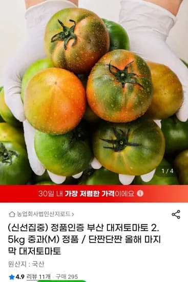 부산 대저토마토 2.5kg 중과 (2,960원 / 무배)1