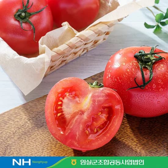 완숙 토마토 5kg (13,950원/무료)