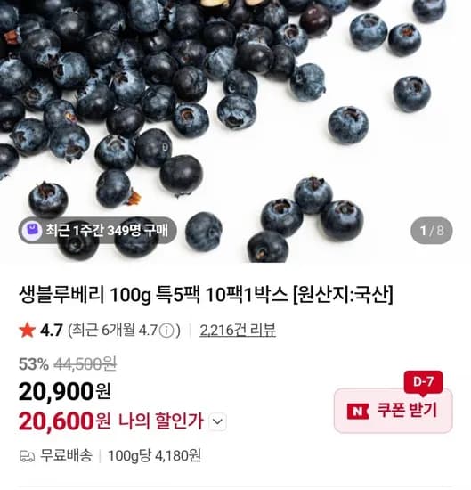 생블루베리 15mm 이상 100g 5팩 (20,600원/무료)