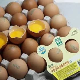 난각번호 1번 HACCP 무항생제인증 방사 유정란 60구(27,330원/무배)