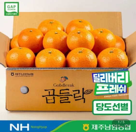 제주 남원농협 곱들락 카라향 로얄과(중과) 2kg (14,900원/무료)