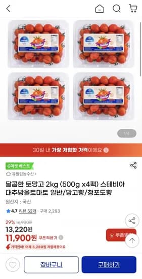 달콤한 토망고 2kg (500g x4팩) 스테비아 대추방울토마토 일반/망고향/청포도향(11,900원/무료배송)