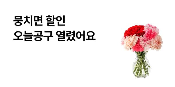 카네이션 5송이/10송이/20송이 꽃다랍 7,900원 부터 무배