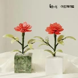 천연옥꽃 카네이션 (28,000/무배)