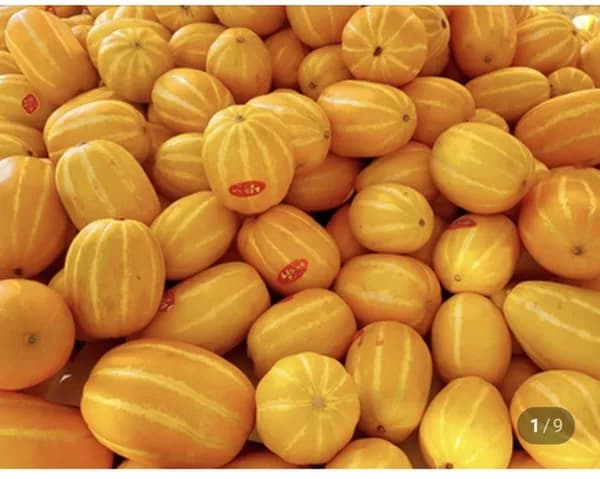 성주 꿀 참외 2kg 로얄과